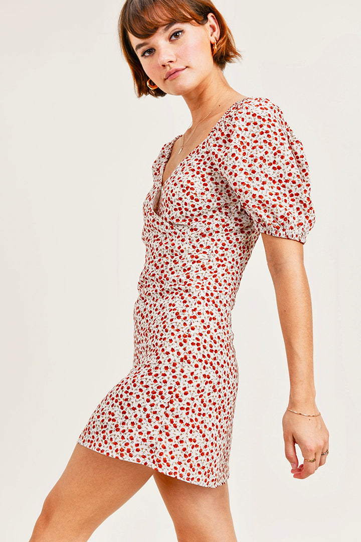 Chaya Dress