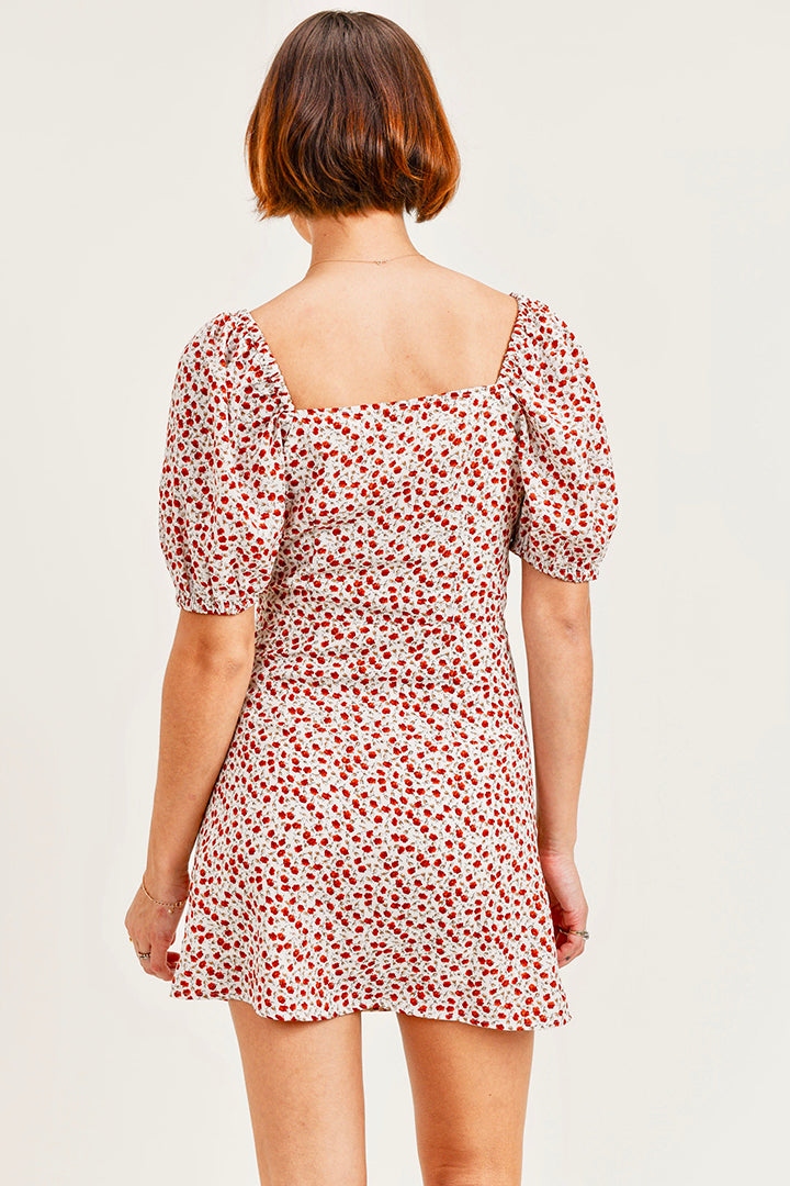 Chaya Dress
